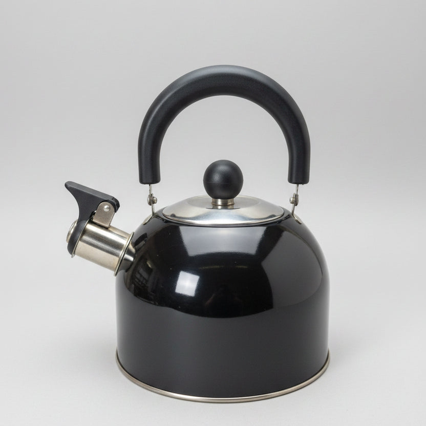 Bouilloire à sifflet noir et inox