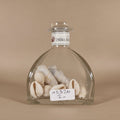 Flacon coquillages