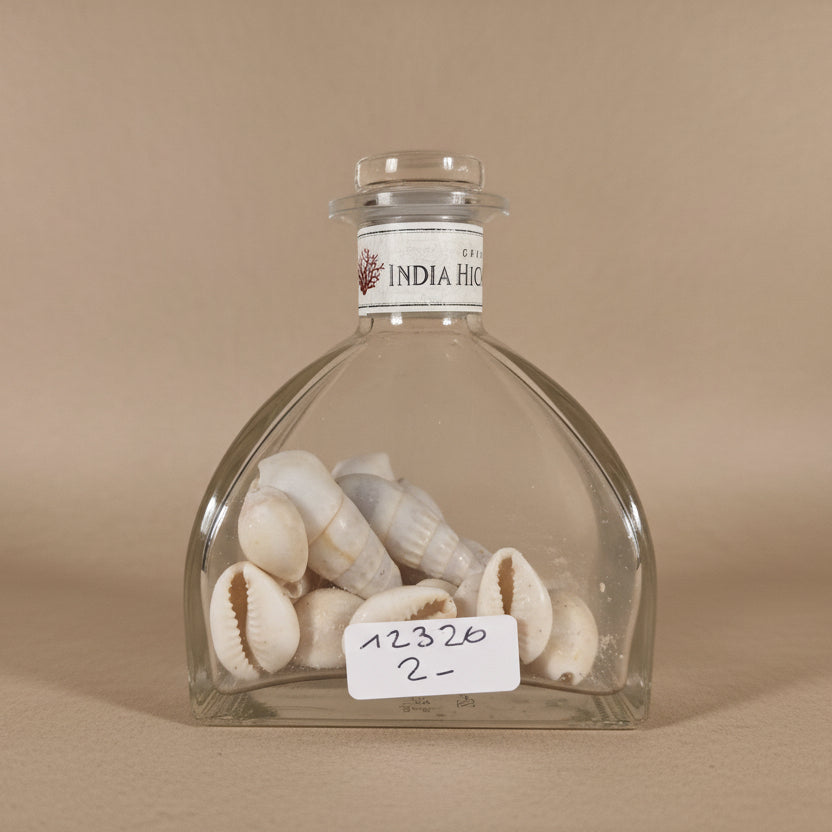 Flacon coquillages
